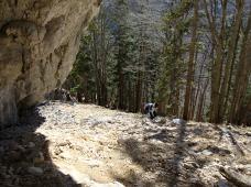 Klik za večjo sliko